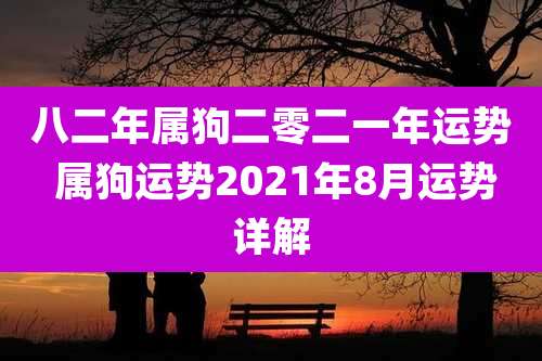 八二年属狗二零二一年运势 属狗运势2021年8月运势详解