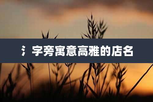 氵字旁寓意高雅的店名