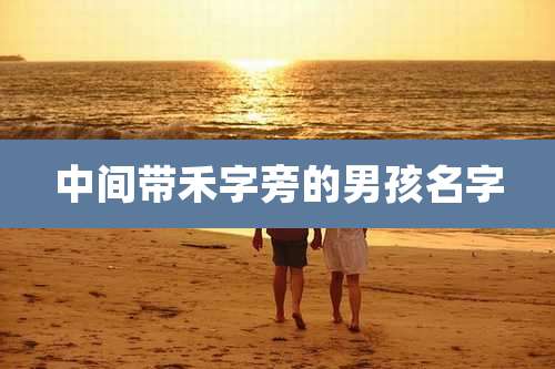 中间带禾字旁的男孩名字