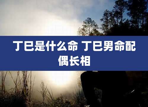 丁巳是什么命 丁巳男命配偶长相