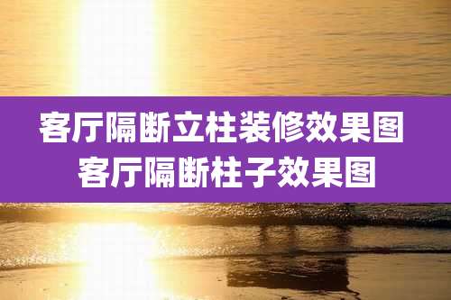 客厅隔断立柱装修效果图 客厅隔断柱子效果图