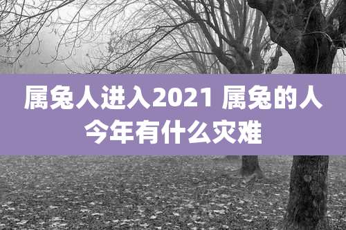 属兔人进入2021 属兔的人今年有什么灾难