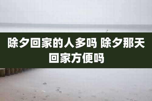 除夕回家的人多吗 除夕那天回家方便吗
