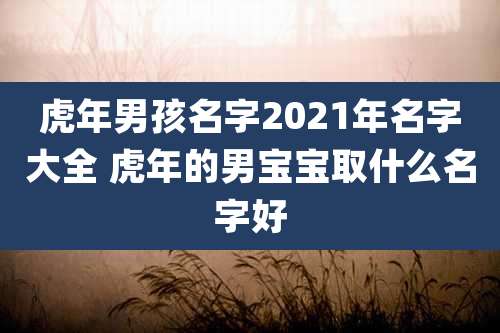 虎年男孩名字2021年名字大全 虎年的男宝宝取什么名字好