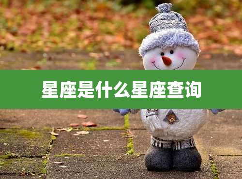星座是什么星座查询