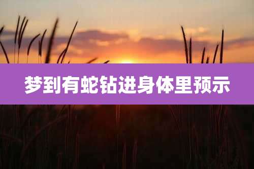 梦到有蛇钻进身体里预示