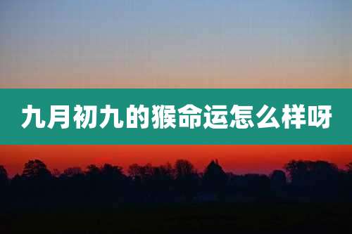 九月初九的猴命运怎么样呀