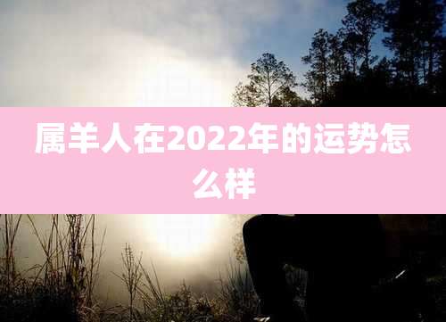 属羊人在2022年的运势怎么样