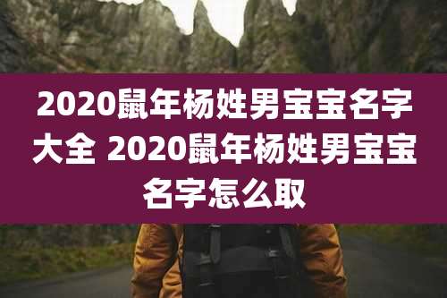 2020鼠年杨姓男宝宝名字大全 2020鼠年杨姓男宝宝名字怎么取