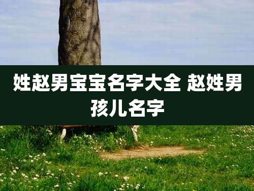 姓赵男宝宝名字大全 赵姓男孩儿名字