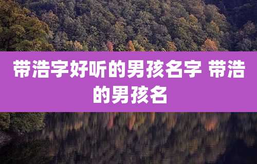 带浩字好听的男孩名字 带浩的男孩名