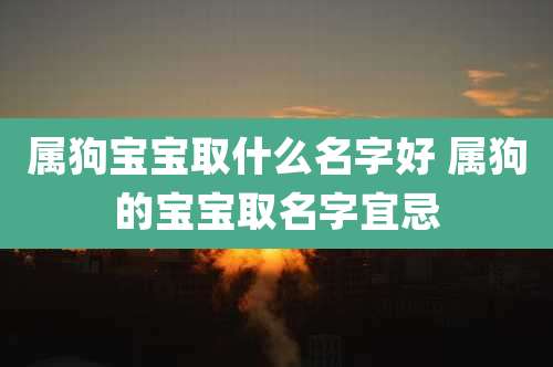 属狗宝宝取什么名字好 属狗的宝宝取名字宜忌