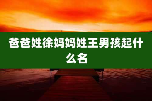 爸爸姓徐妈妈姓王男孩起什么名