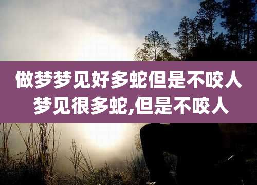 做梦梦见好多蛇但是不咬人 梦见很多蛇,但是不咬人