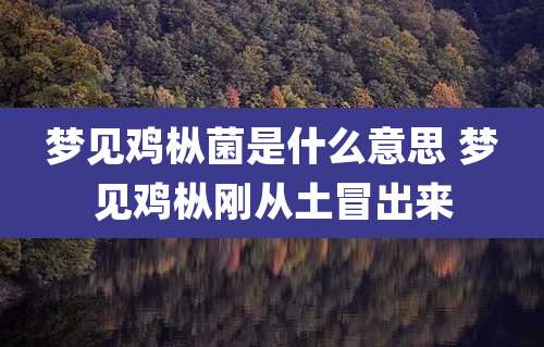 梦见鸡枞菌是什么意思 梦见鸡枞刚从土冒出来