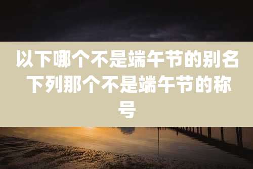 以下哪个不是端午节的别名 下列那个不是端午节的称号