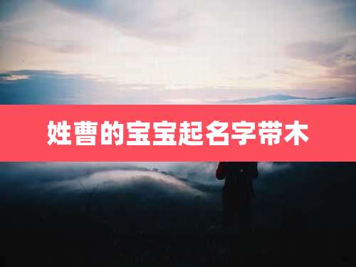 姓曹的宝宝起名字带木