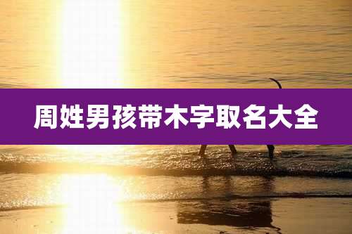 周姓男孩带木字取名大全