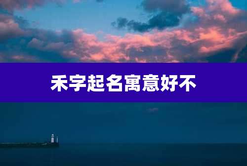 禾字起名寓意好不