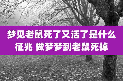 梦见老鼠死了又活了是什么征兆 做梦梦到老鼠死掉