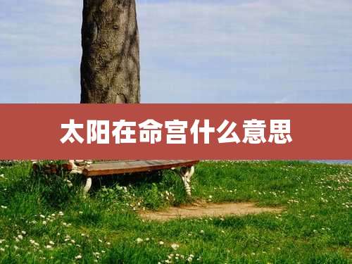 太阳在命宫什么意思