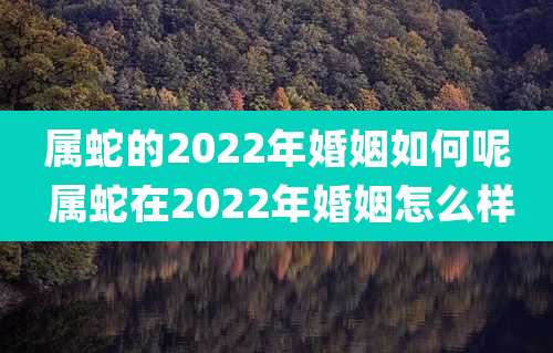 属蛇的2022年婚姻如何呢 属蛇在2022年婚姻怎么样
