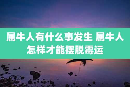 属牛人有什么事发生 属牛人怎样才能摆脱霉运