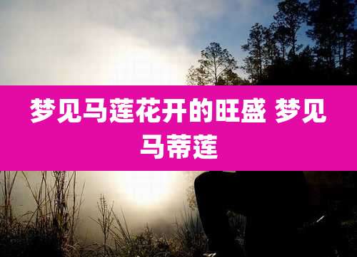 梦见马莲花开的旺盛 梦见马蒂莲