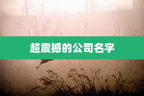 超震撼的公司名字