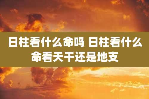 日柱看什么命吗 日柱看什么命看天干还是地支