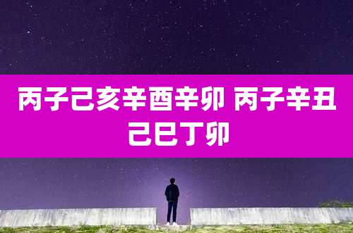 丙子己亥辛酉辛卯 丙子辛丑己巳丁卯