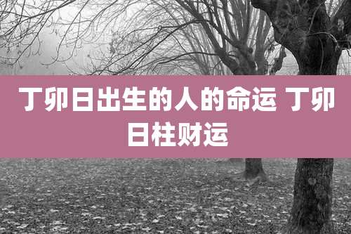 丁卯日出生的人的命运 丁卯日柱财运
