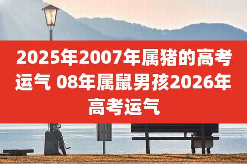 2025年2007年属猪的高考运气 08年属鼠男孩2026年高考运气