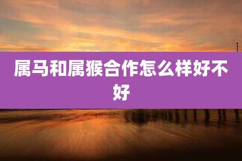 属马和属猴合作怎么样好不好