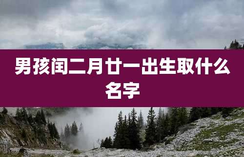 男孩闰二月廿一出生取什么名字