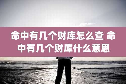 命中有几个财库怎么查 命中有几个财库什么意思