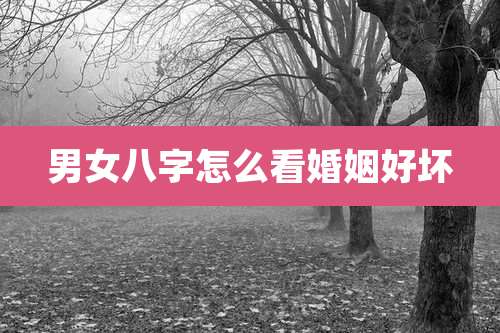 男女八字怎么看婚姻好坏