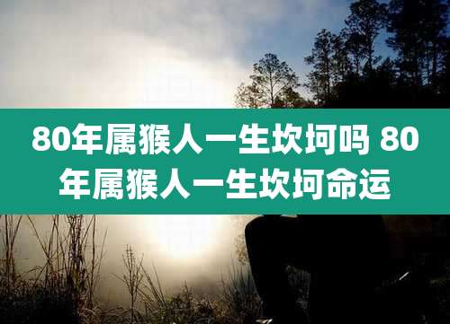 80年属猴人一生坎坷吗 80年属猴人一生坎坷命运
