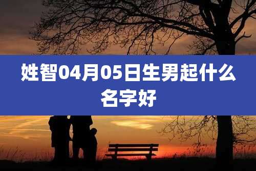 姓智04月05日生男起什么名字好