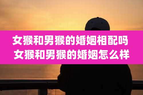 女猴和男猴的婚姻相配吗 女猴和男猴的婚姻怎么样