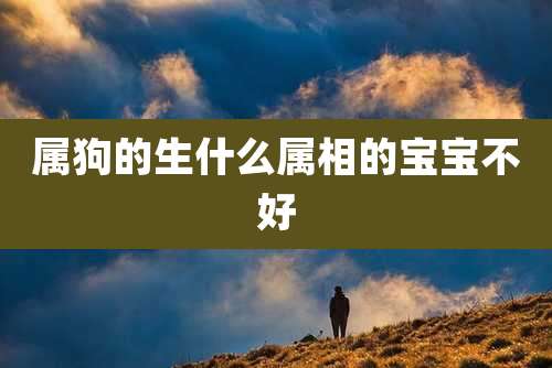 属狗的生什么属相的宝宝不好