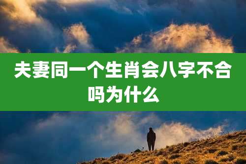 夫妻同一个生肖会八字不合吗为什么