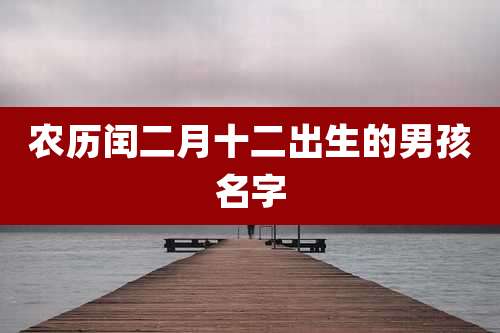 农历闰二月十二出生的男孩名字