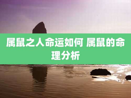 属鼠之人命运如何 属鼠的命理分析