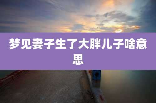 梦见妻子生了大胖儿子啥意思