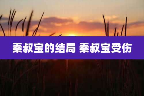 秦叔宝的结局 秦叔宝受伤