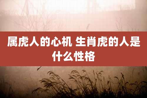 属虎人的心机 生肖虎的人是什么性格