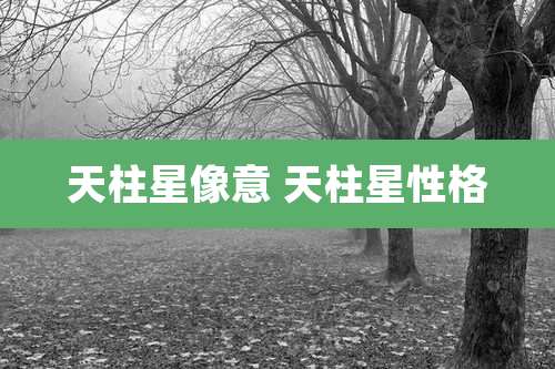 天柱星像意 天柱星性格