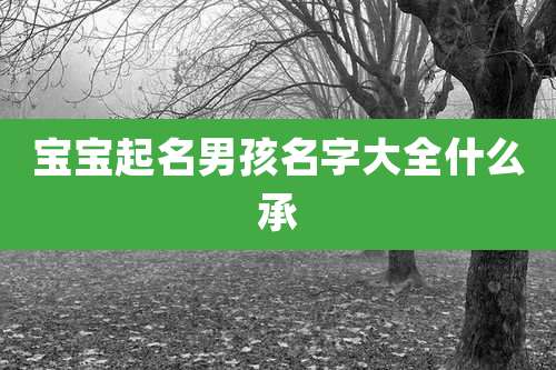 宝宝起名男孩名字大全什么承
