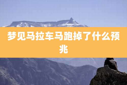 梦见马拉车马跑掉了什么预兆